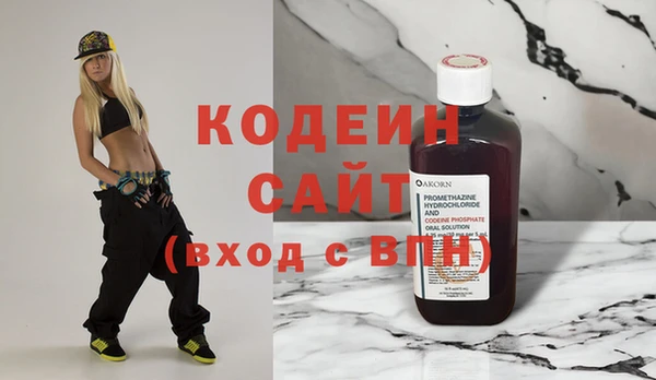 хмурый Карпинск