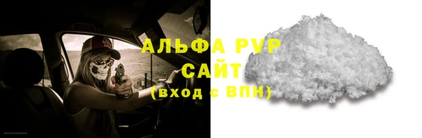 хмурый Карпинск