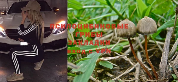 а пвп мука Куйбышев
