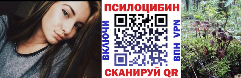 Купить закладки  Любань  Галлюциногенные грибы Psilocybine cubensis 